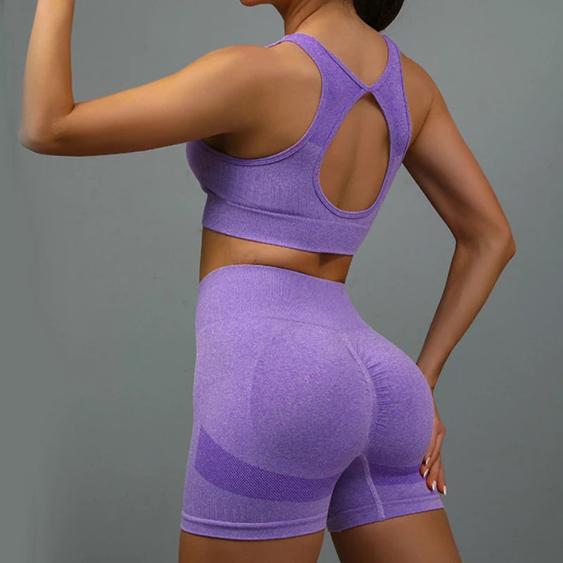 2 Pieces Yoga Set Women Beauty Back Shockproof Sports Bra Hip Lifting Sports Shorts Workout Set Quick Drying Gym Outfit Set