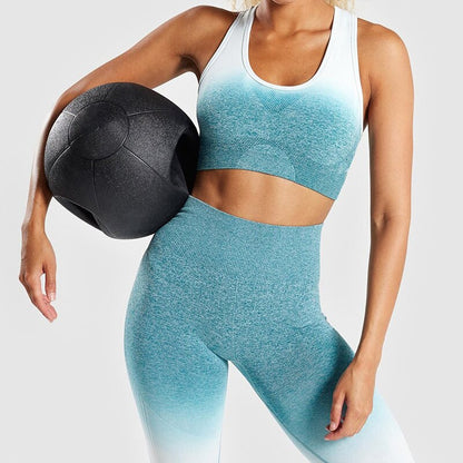 2 Piece Set Sporty Bra and Leggings - Gym Sportswear for Women